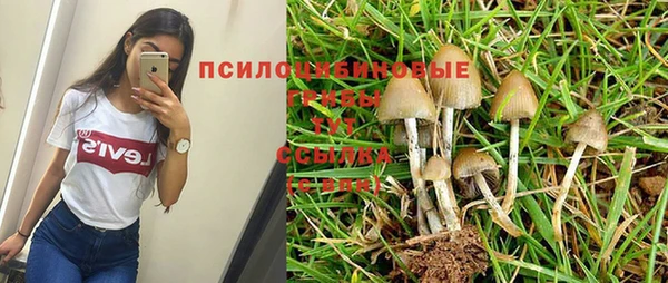 трава Алексеевка