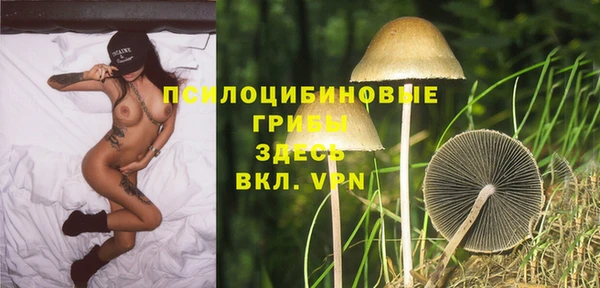 дмт Алексин